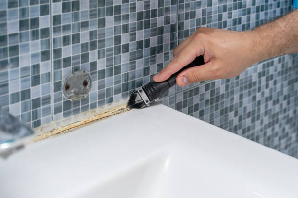 Best Attic Mold Removal  in Odenville, AL