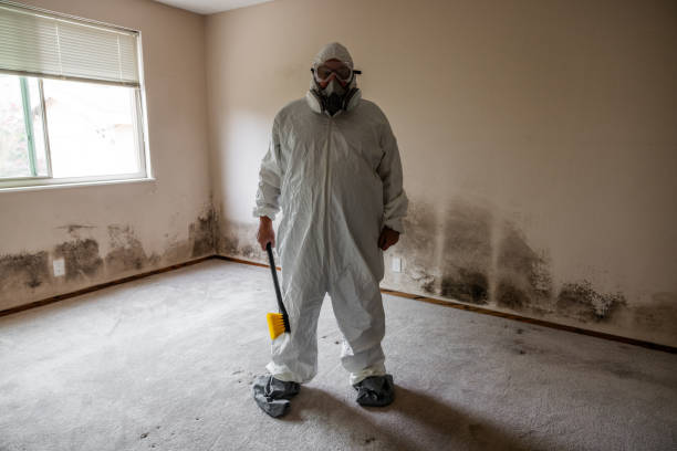 Best Mold Damage Repair  in Odenville, AL
